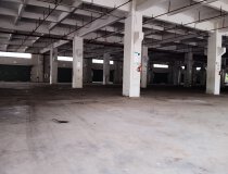 中山坦洲第三工业区标准一楼，四面开门的厂房，层高6.8米