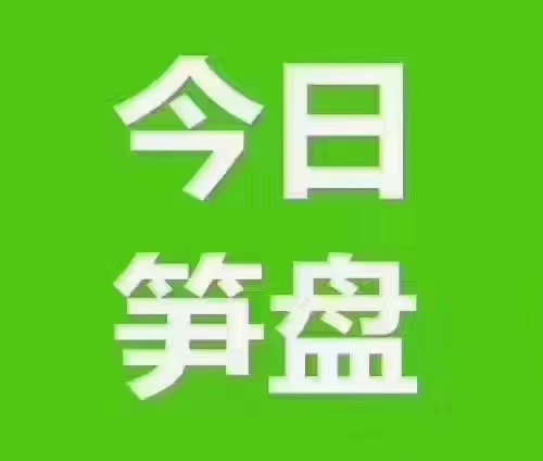 乐从钢铁世界附近罕见国有工业用地1