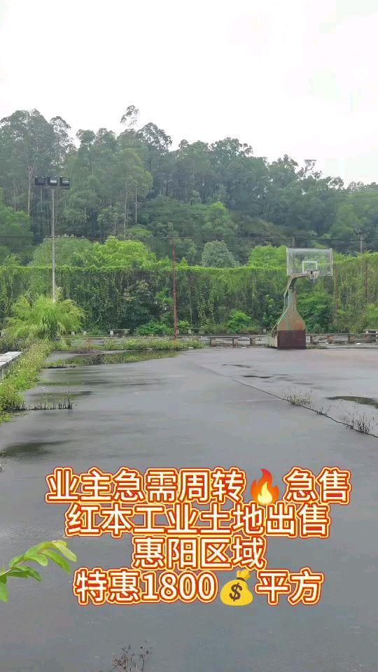 视频封面图