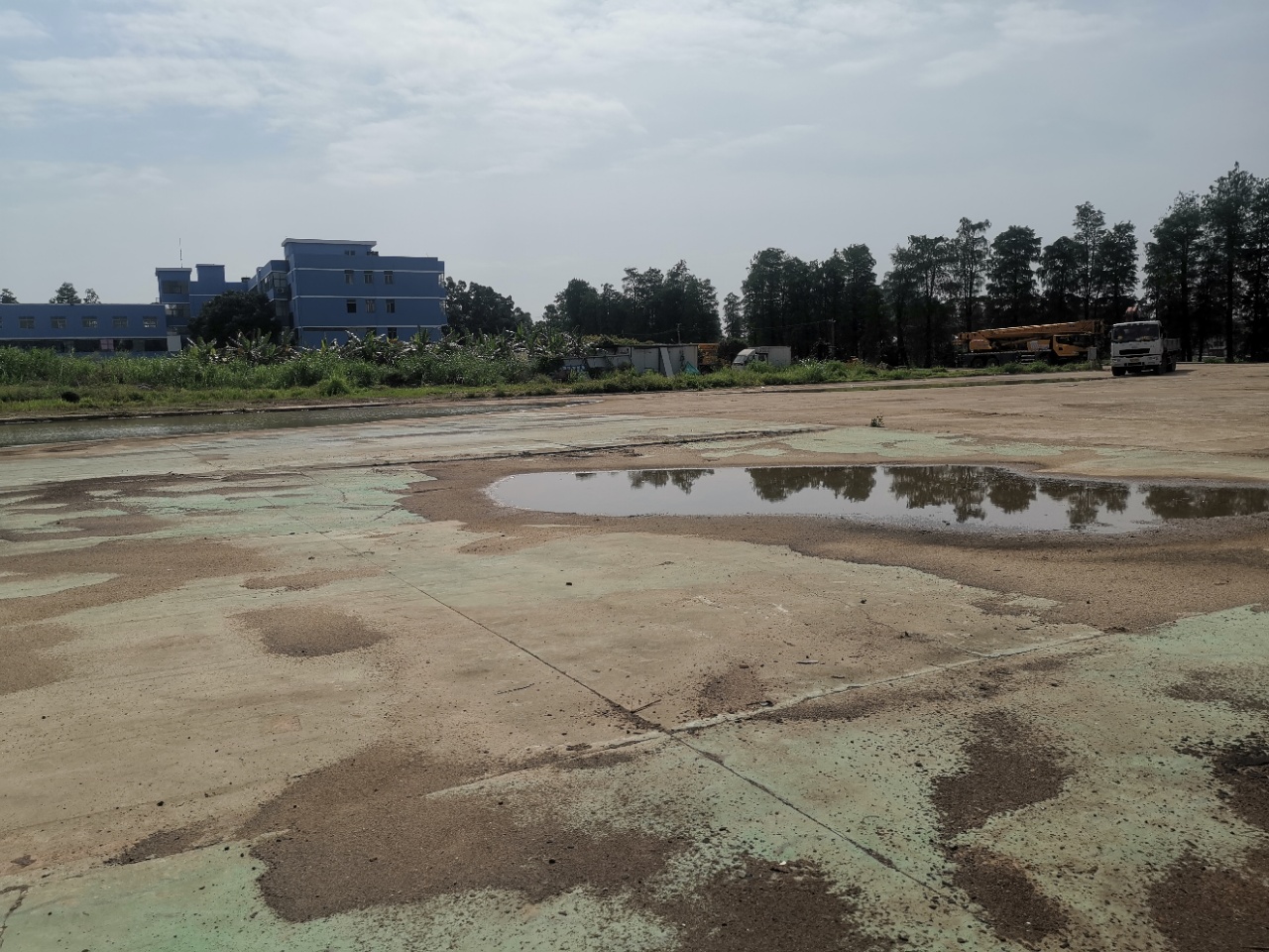 番禺区大龙街道空地出租，价格美丽1