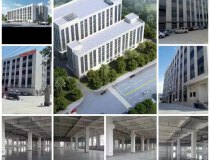 望牛墩全新高新科技产业园现出租楼层和面积第二栋带五吨货梯
