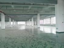 阜沙上南工业区原房东全新厂房分租7楼一整层3200平方带装修