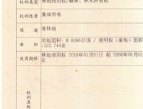 惠州12.8万平不动产权农场出售