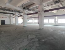 沙井大王山工业园，一楼1200平，带牛角租金38