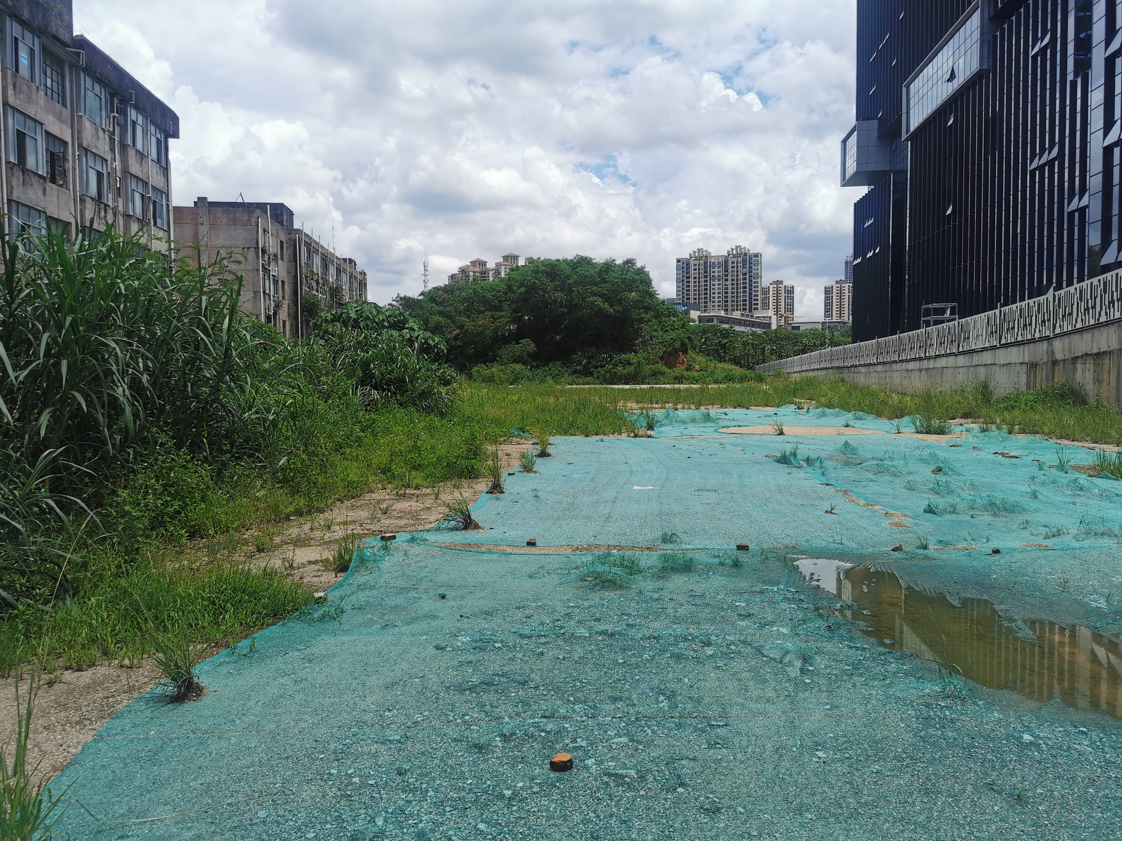 坂田街道主干道旁空地7500平出租适用于各种行业可分租3