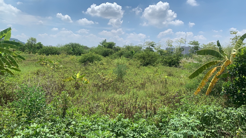 商业空地，可定建，带红本2