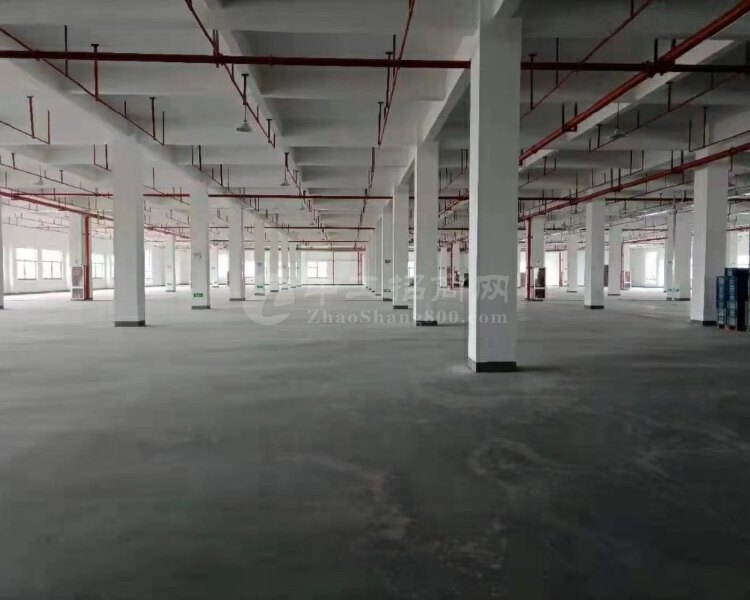 广州番禺化龙镇国有红本工业厂房48亩出售