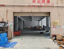 广东省广州市增城区新塘镇新出标准厂房出租