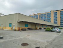 深圳龙岗厂房出租2500平独栋厂房钢结构12米高