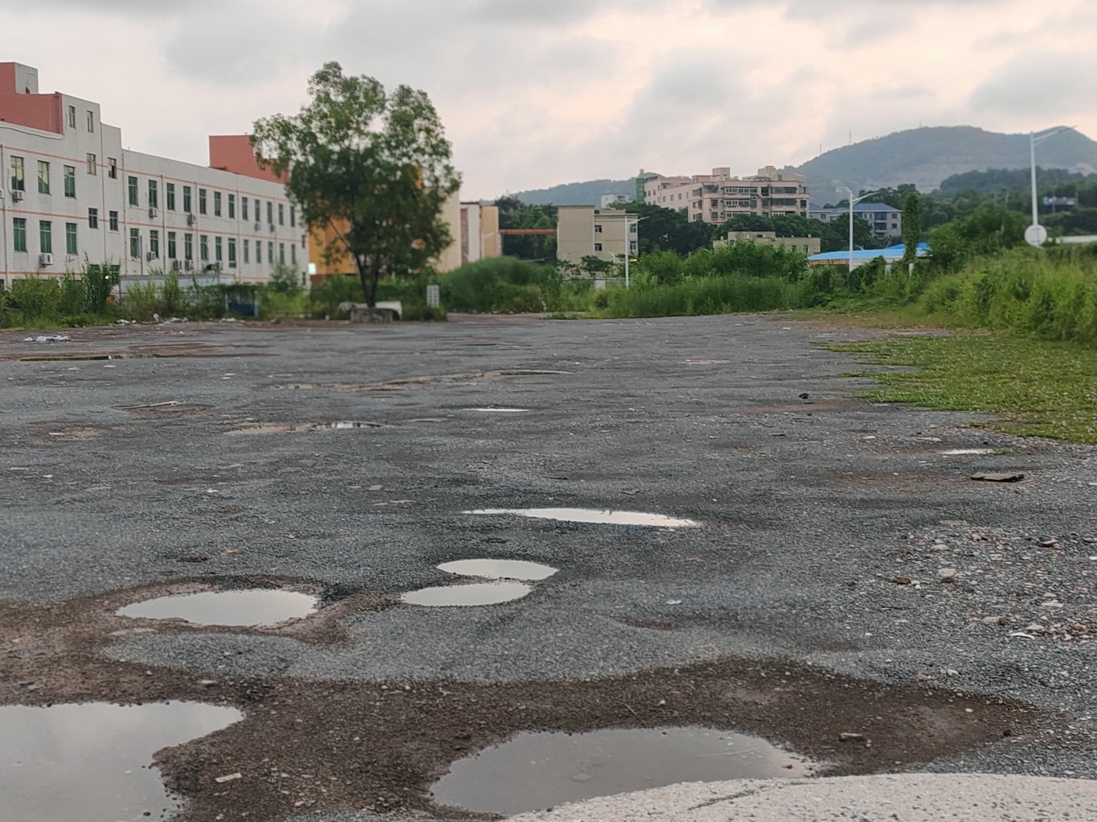 龙岗主干道旁空出大型空地12000平。4