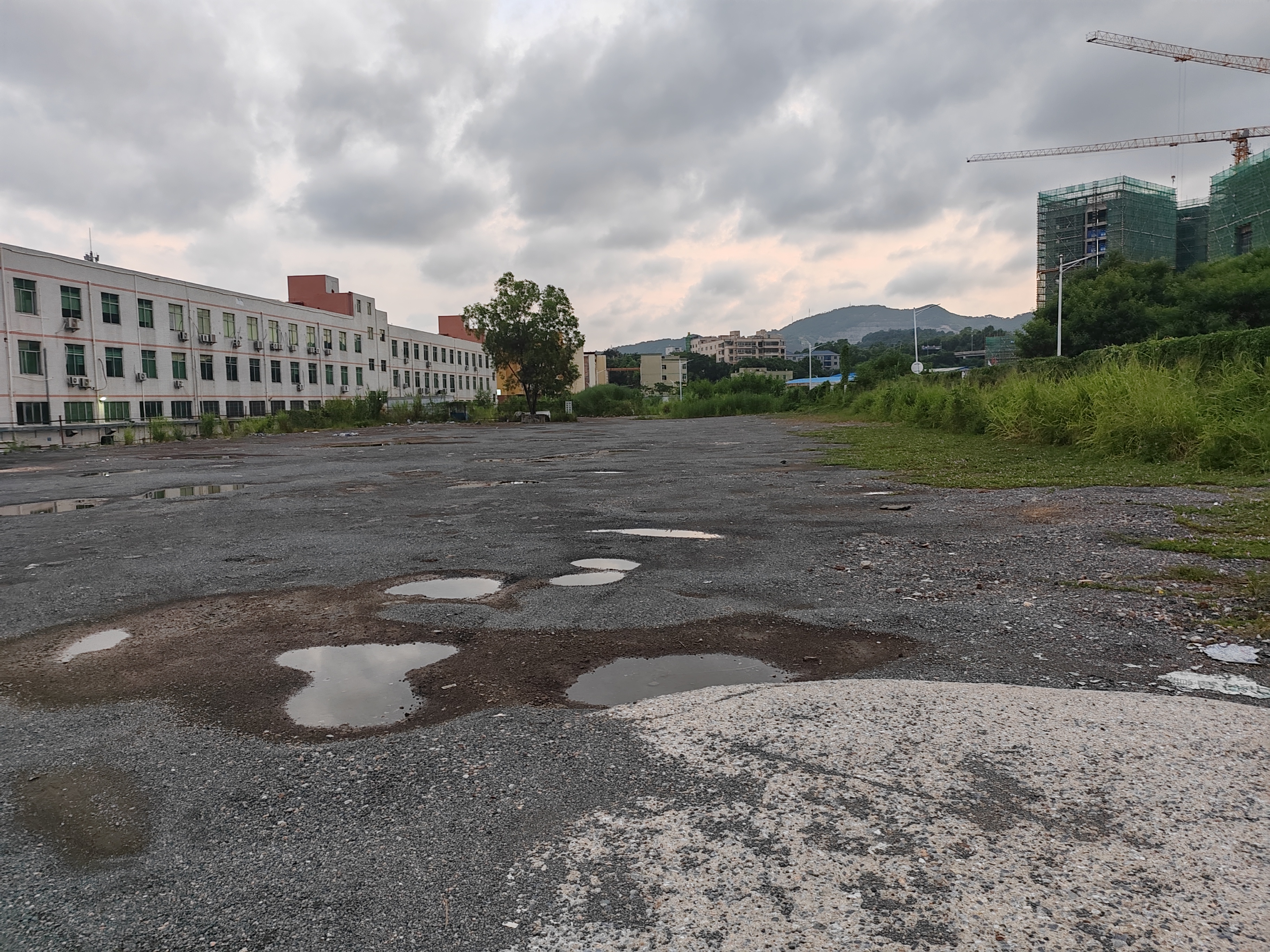 龙岗主干道旁空出大型空地12000平。2