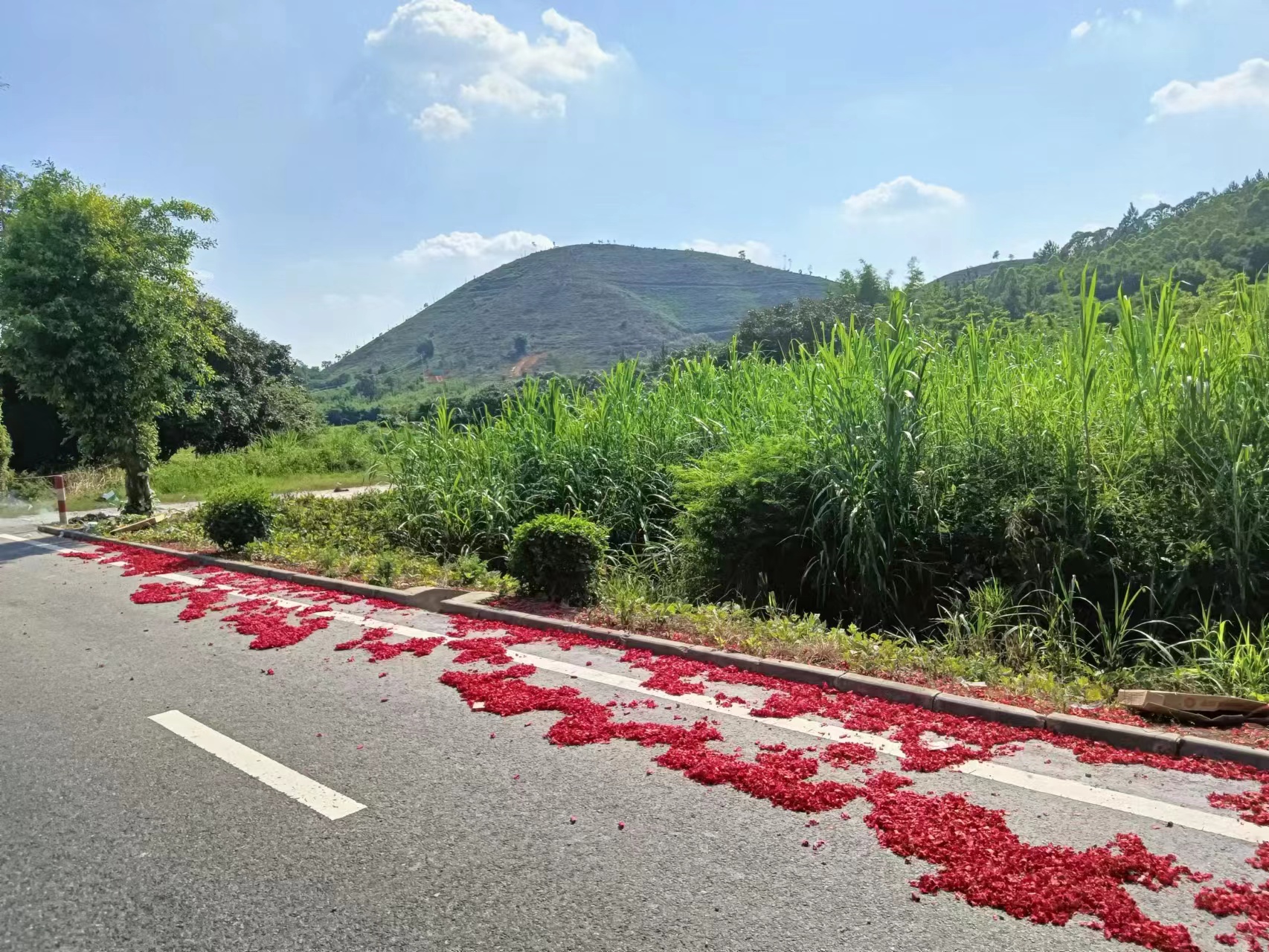 高明国有工业用地出租51亩2