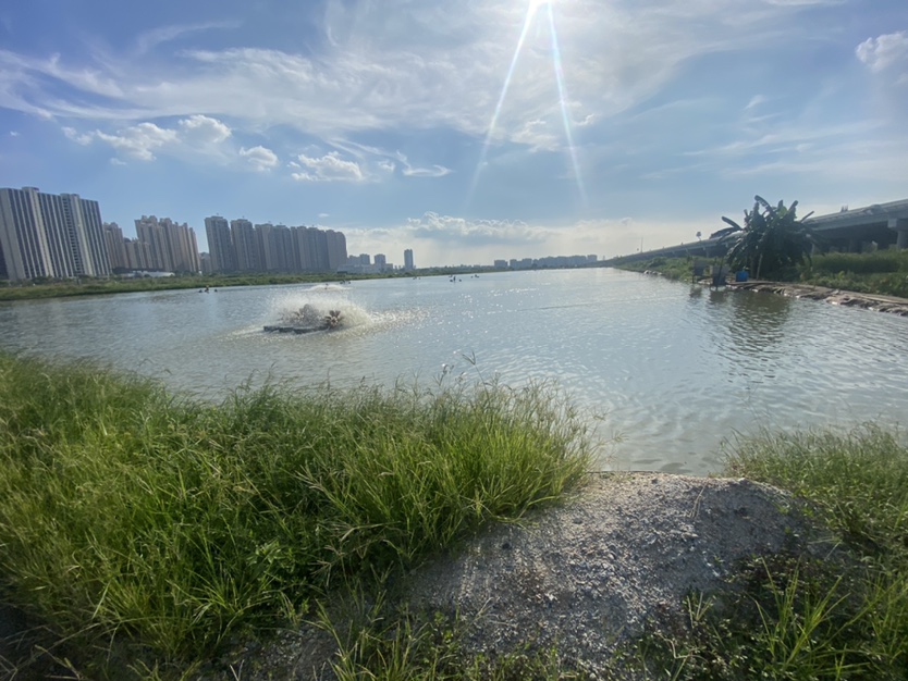 港口一手土地鱼塘无转让费抵价出租3