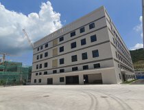 沙田镇全新原房东独院重工业厂房总面积36000平一楼层高8米