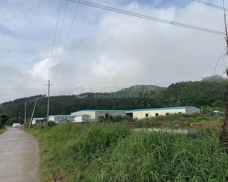 惠阳新圩红本工业土地出售20亩临深区域可报建