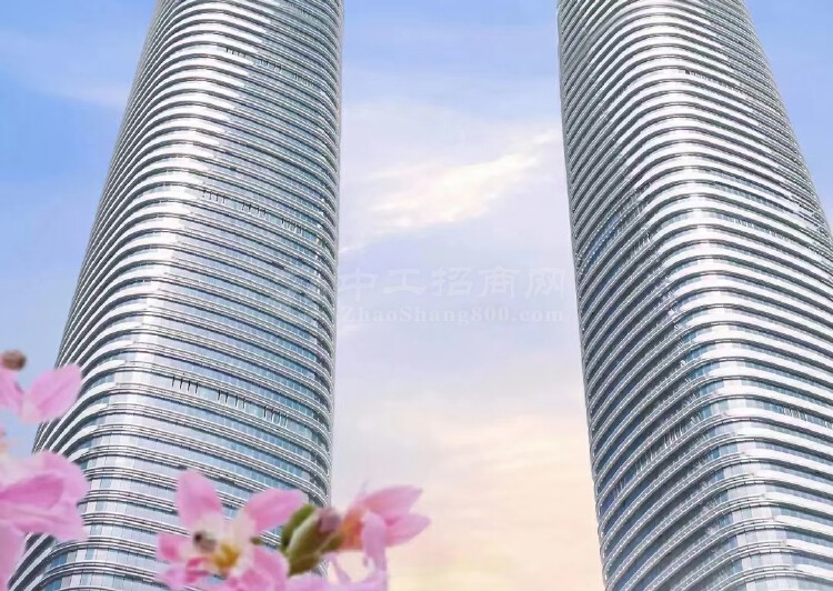 深圳·星河双子塔中国第一高塔全球招商，单层2000平可分租。9