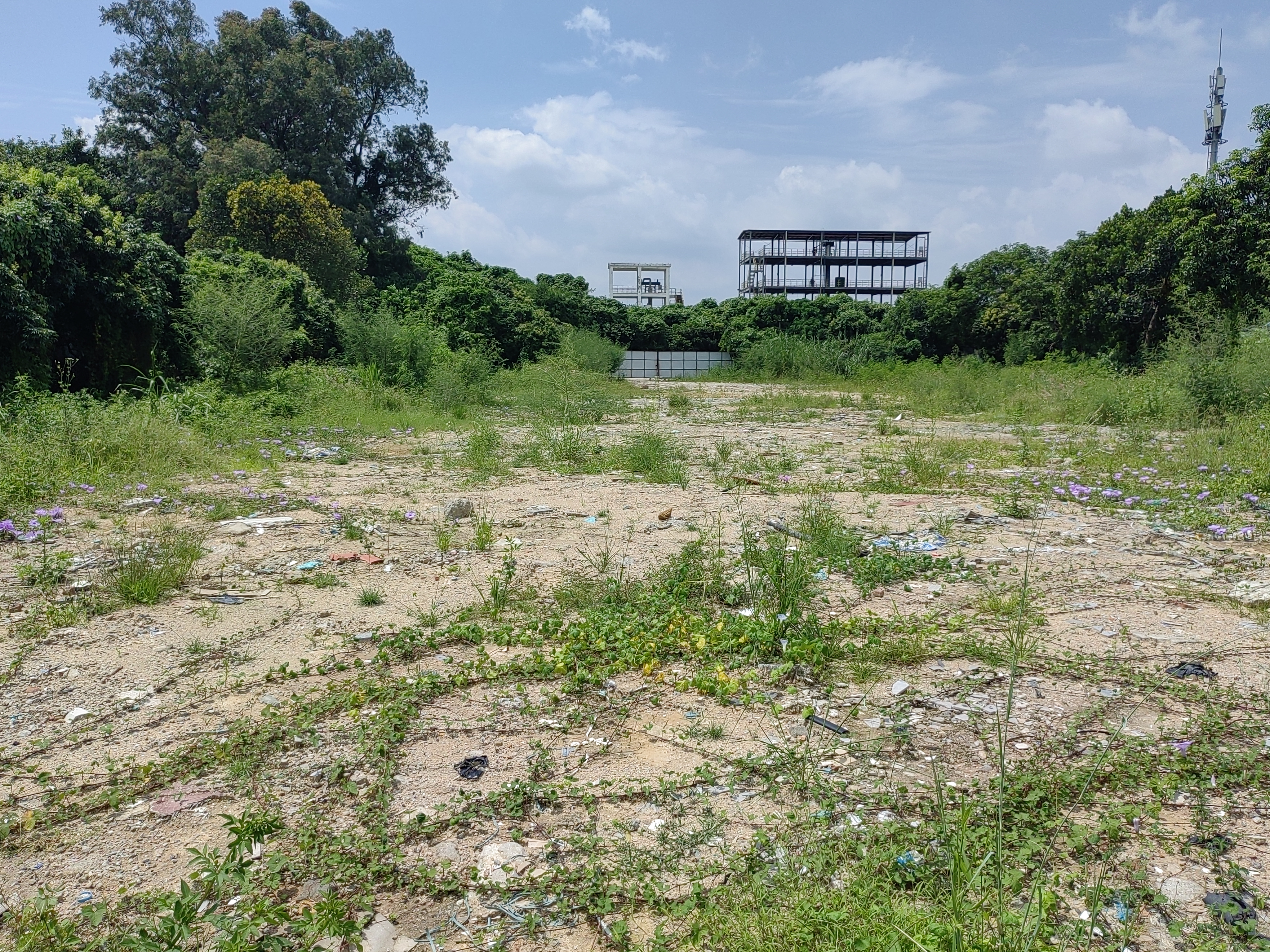 珠海市唐家湾10000平米空地出租2