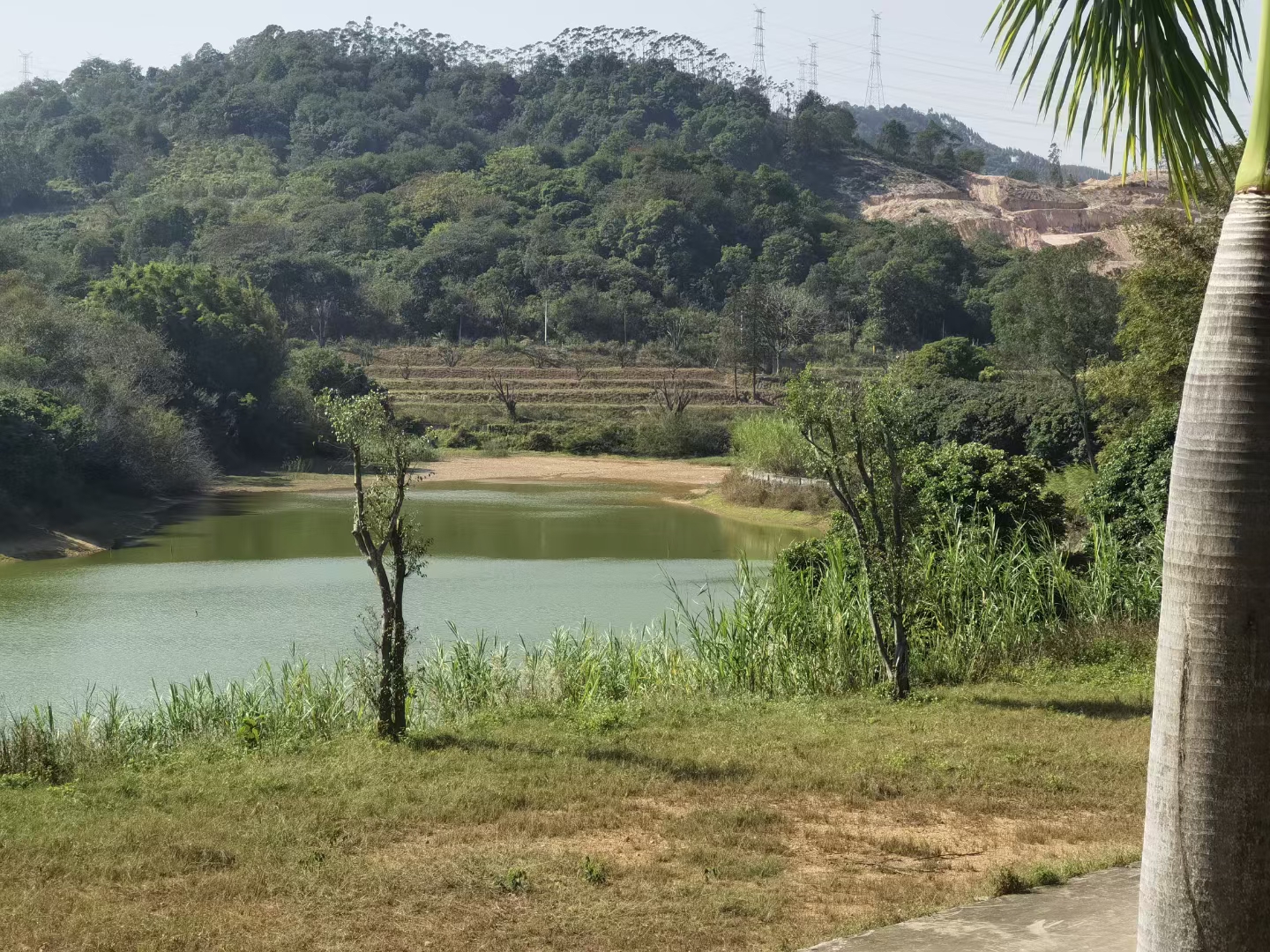 建筑面积，8000平，占地面积，100亩8