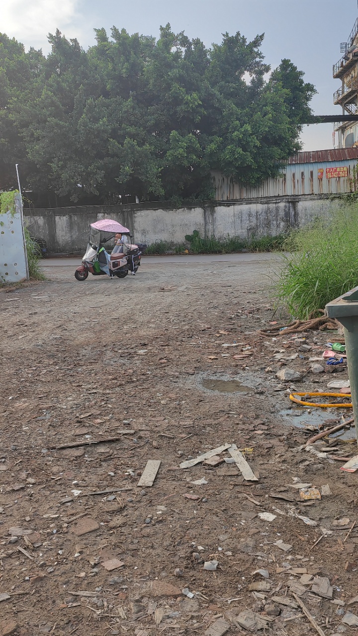 东涌现成木材破碎场地出租交通便利证件齐全电费便宜可办证2