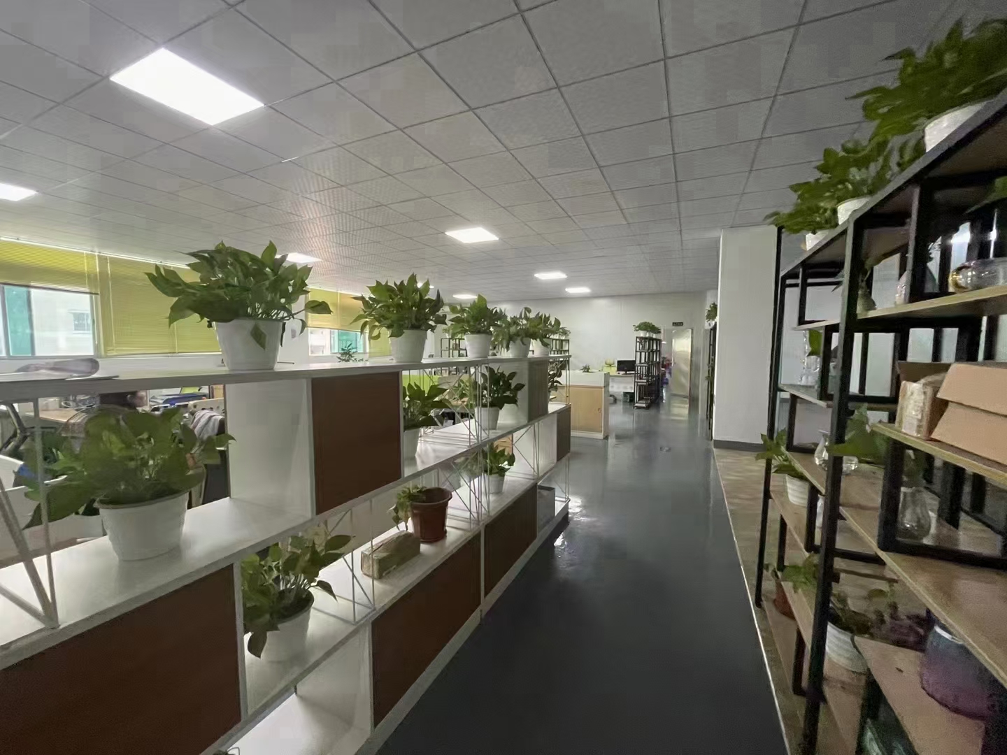 观澜桂花路二楼480平方两间大气办公室加方正仓库，园区形象。