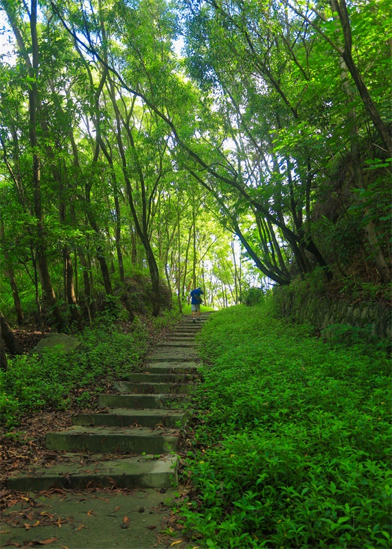 星河双子塔，帮助企业发展，孵化上市，可申请减免优惠7