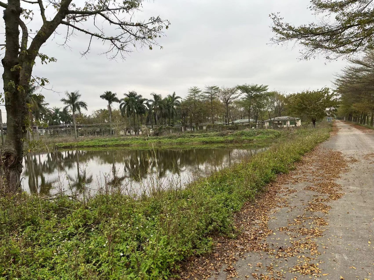 原房东大型农庄招租，占地面积200，现成鱼塘，农庄5