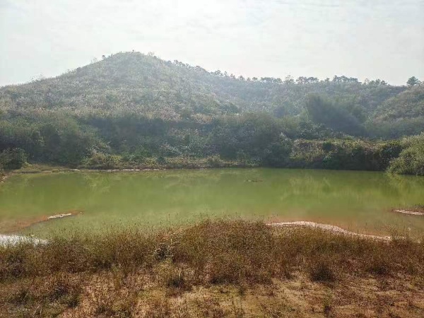 高明区明城镇原房东土地1