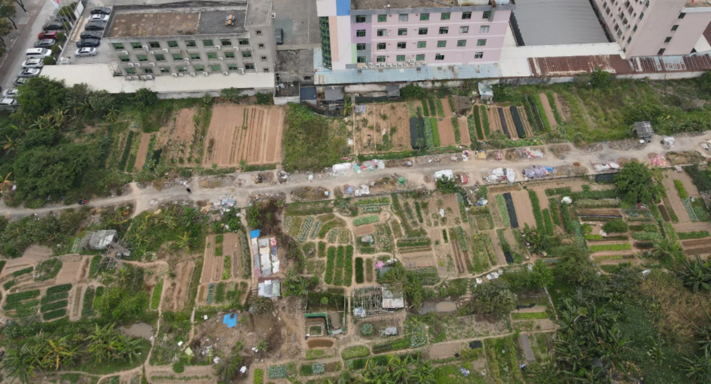 广州番禺区3字头一亩的国有证工业土地出售占地6489方
