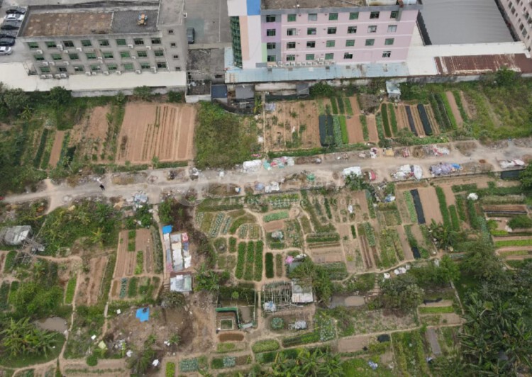 广州番禺区3字头一亩的国有证工业土地出售占地6489方1