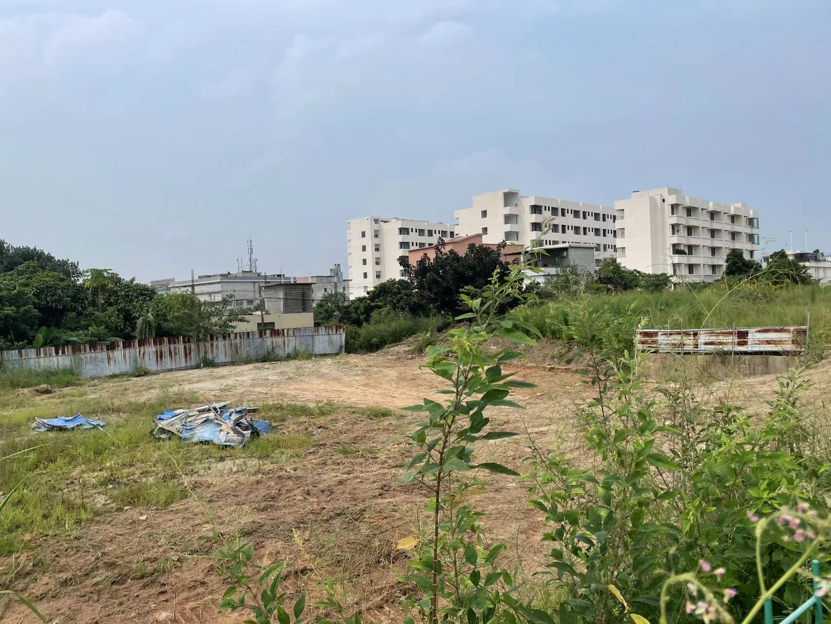 南沙区东涌镇近番禺区空地100亩租金6块3