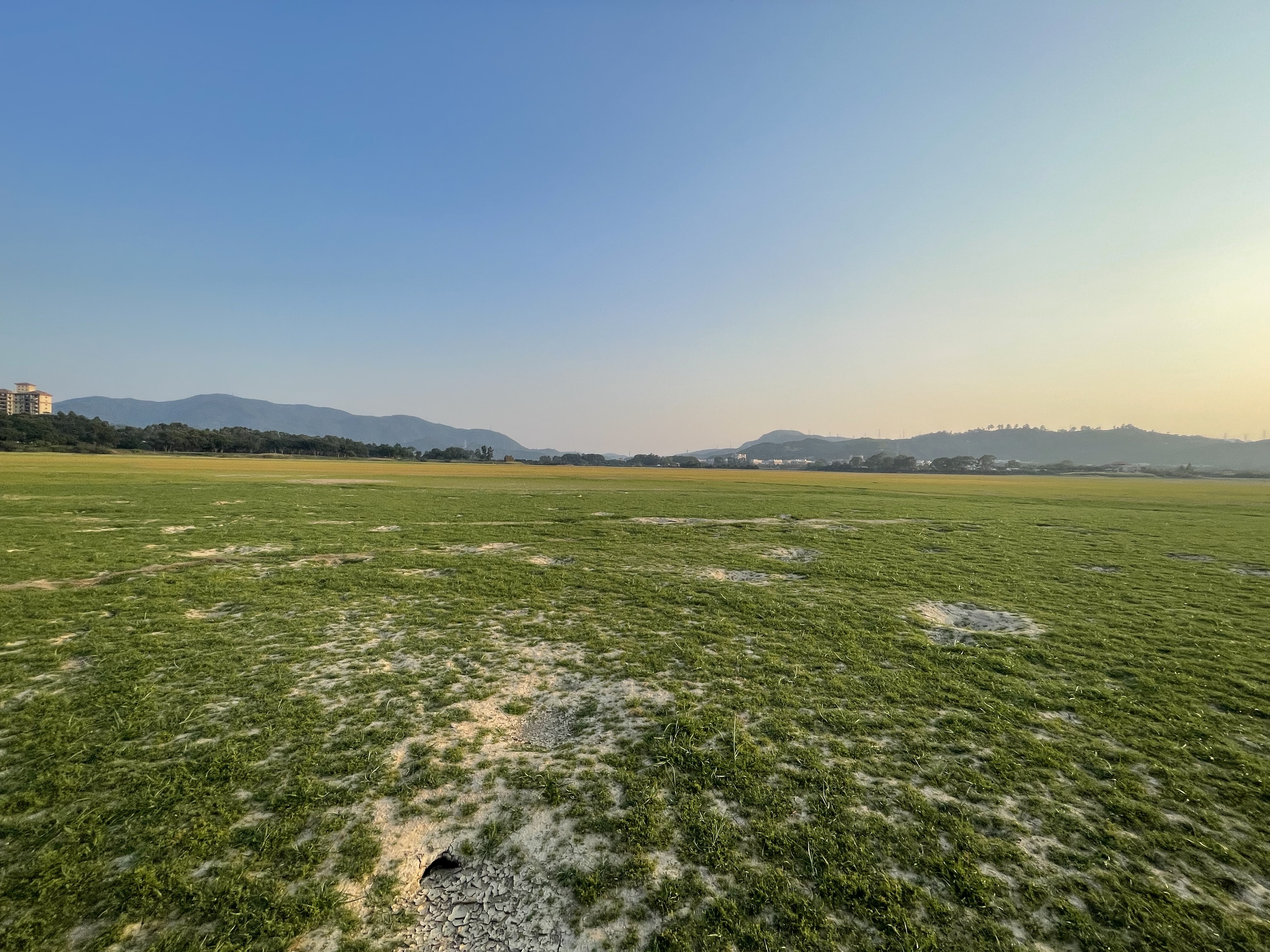 寮步镇浮竹山村500亩超大空地出租可做网红打卡地等各种行业1