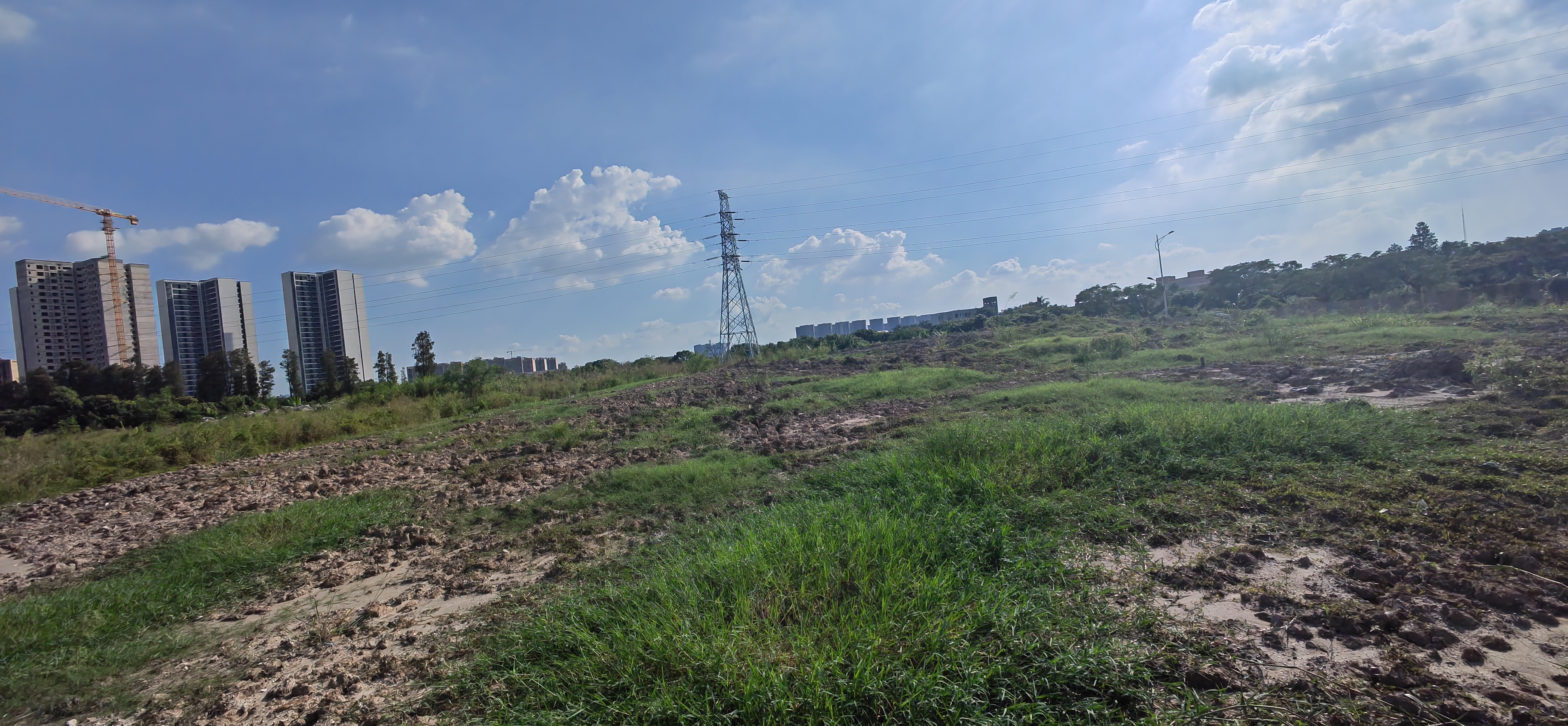 红本地皮可以分割出售1