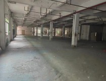 龙江两层厂房仓库出租4000平方水电齐全