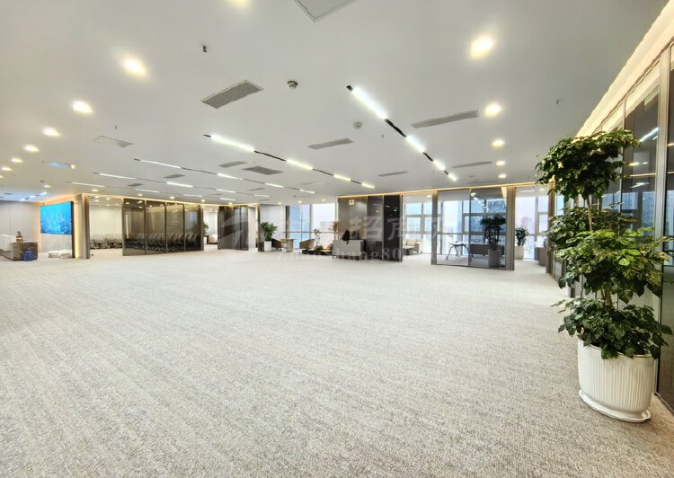 南山科技园彩讯科技大厦全新豪华装修办公室6