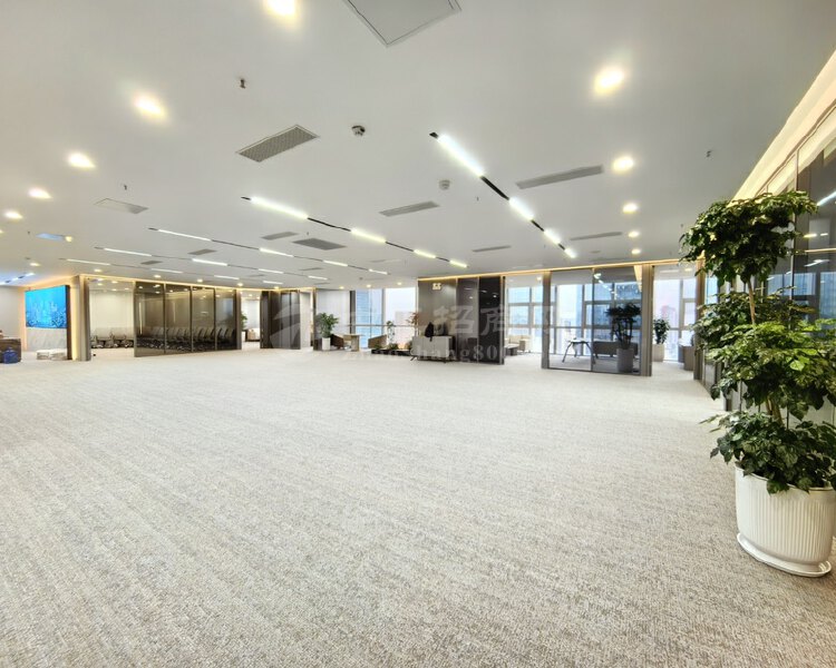 南山科技园彩讯科技大厦全新豪华装修办公室