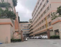 黄江镇超长年限53年独院标准厂房9300平方出售
