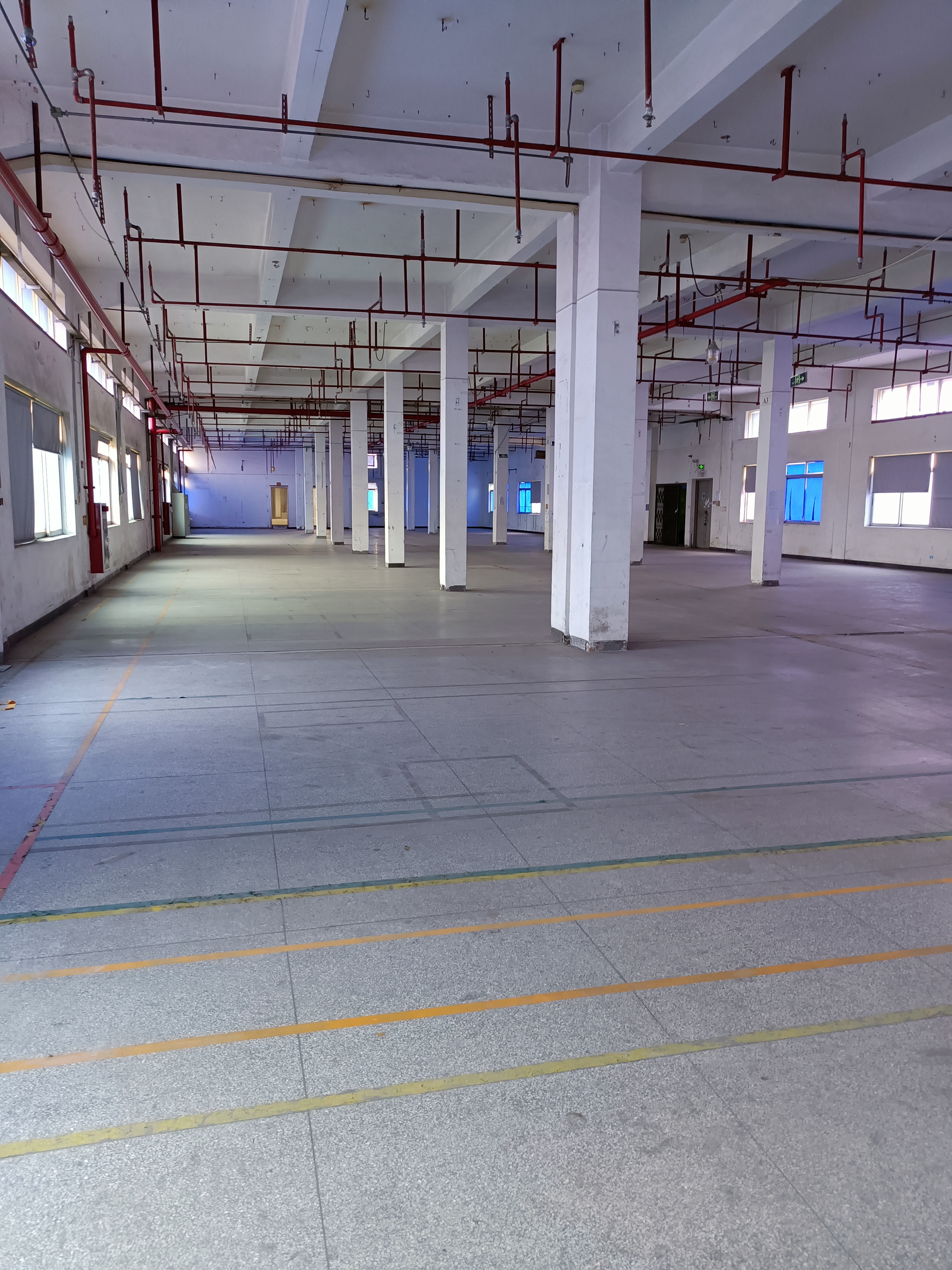 黄埔区西区夏港厂房出租、仓库出租，面积4000平方，层高5米