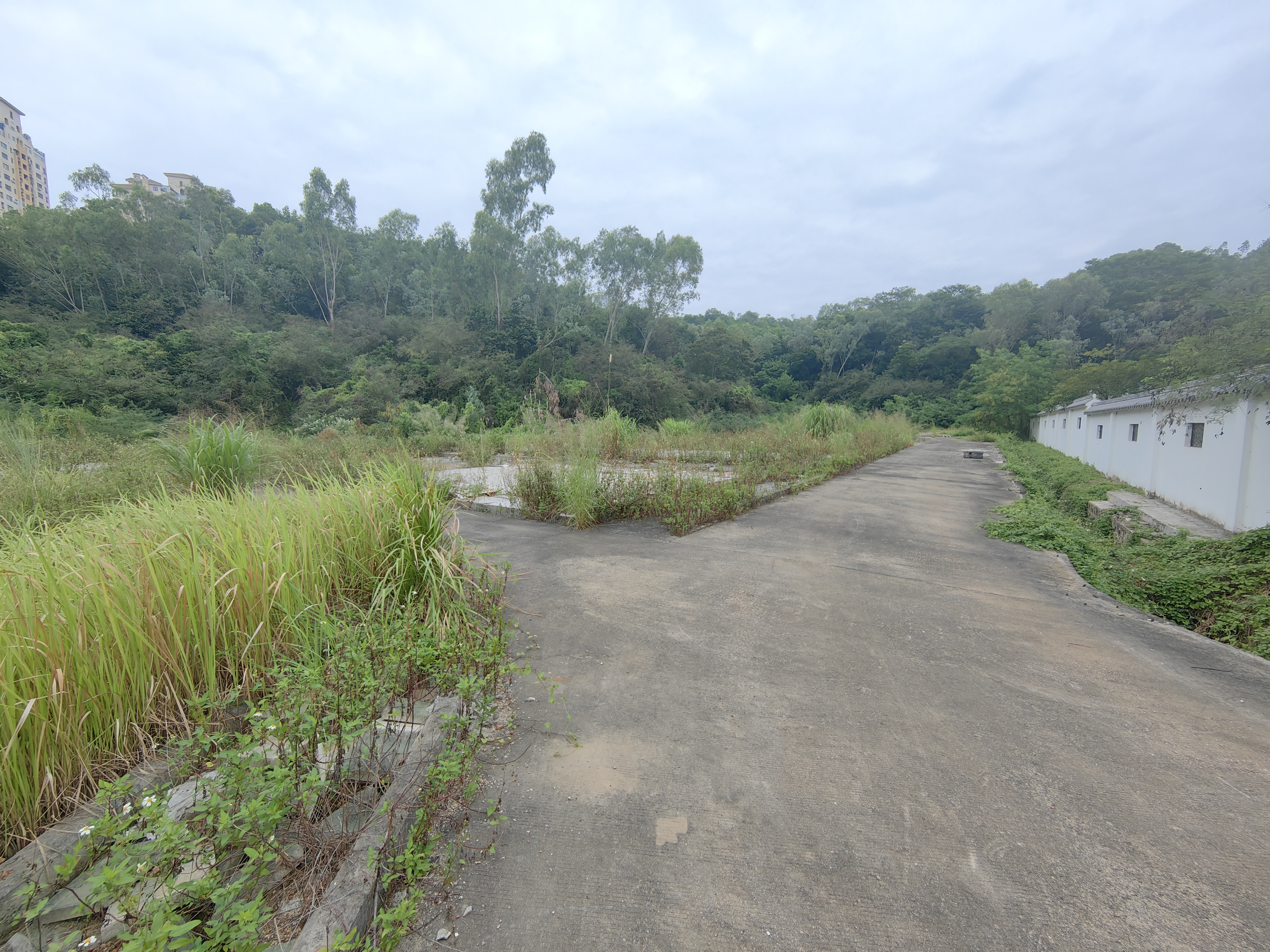 龙岗新出独院硬化空地20000平2