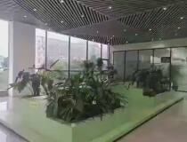 珠海香洲区来一套带家私空调的办公室240平，2+1户型