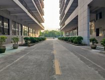 深圳坪山大工业区新出1200平楼上精装修办公厂房出租园区形象