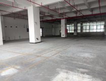 大朗高新产业园区出租楼上带现成装修车间厂房2000平米