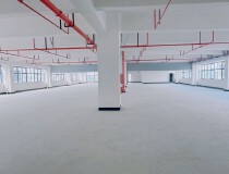 凤岗原房东三楼1000平全新厂房出租，免租期高达3个月