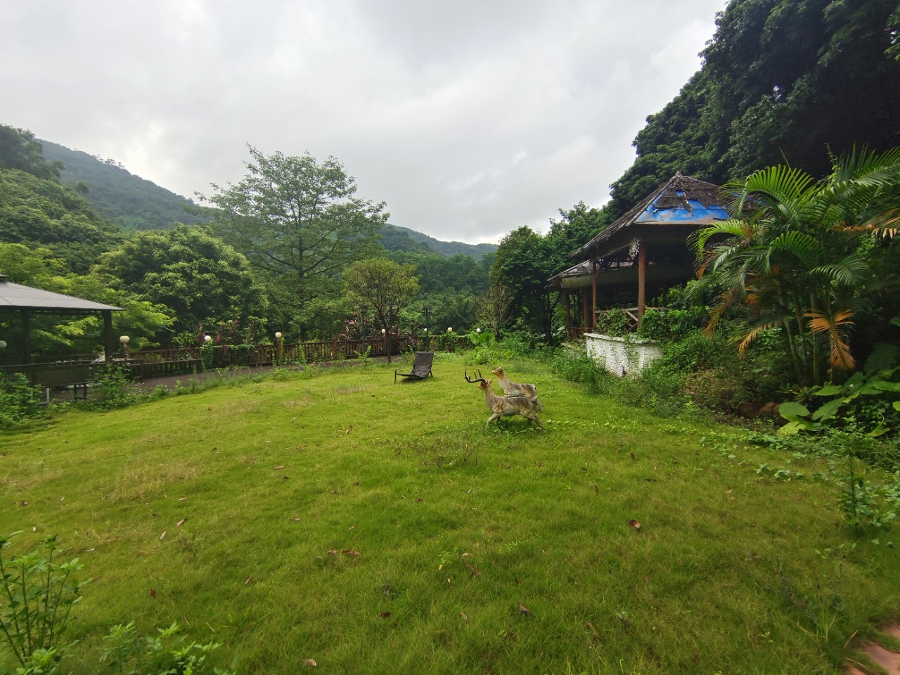 广州市白云区项目可做会所民宿建筑1000平方空地1000平方5