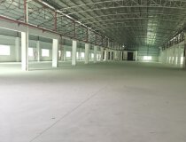 广州黄埔区仓库出租、厂房出租，面积20000平方，可分租