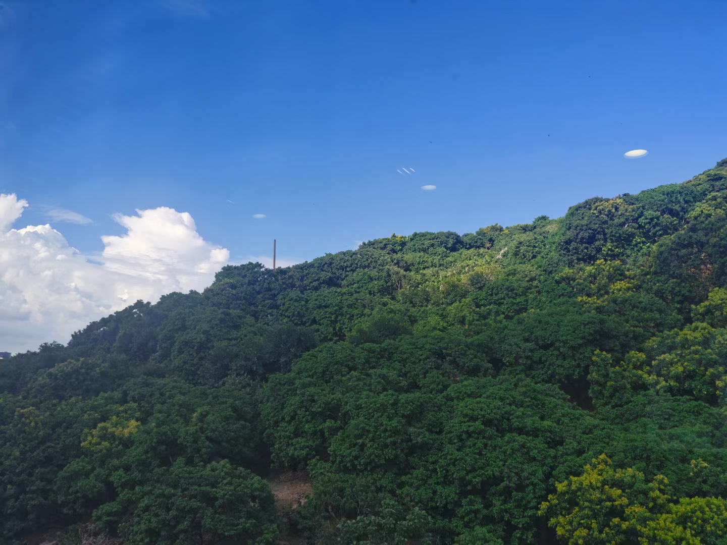 前海荔湾地铁站85㎡看大南山给钱就租3