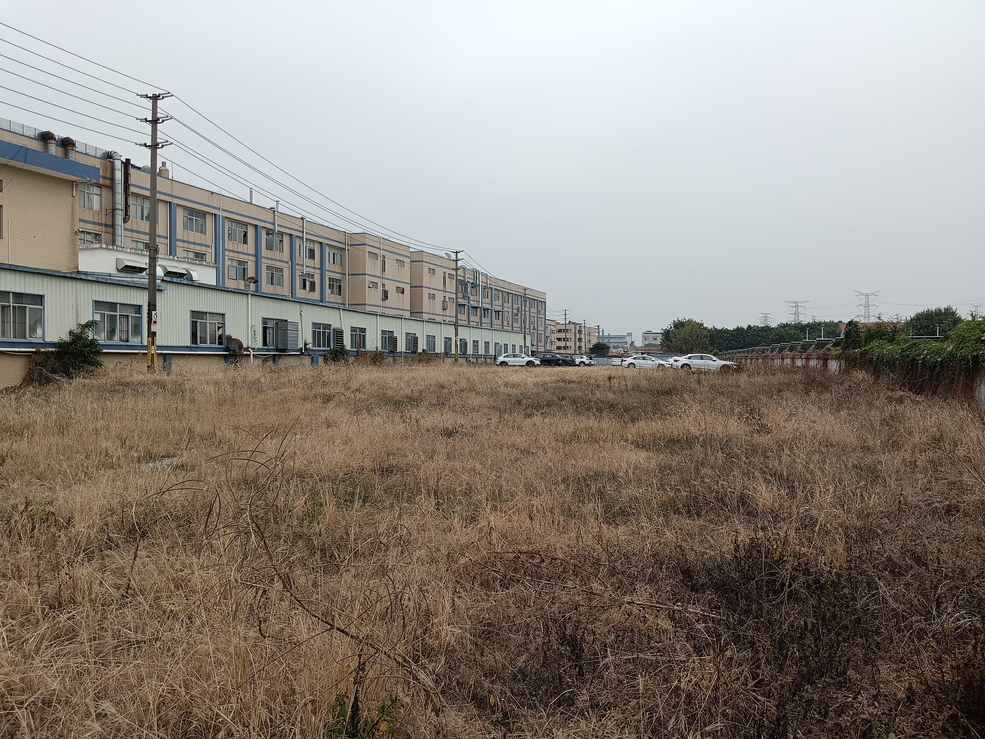 厚街原房东土地出租，1000平起分，周边无居民，已做沙石硬化7