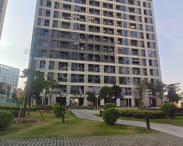 广州市番禺区大龙街道有5600方现成办公楼一手房东