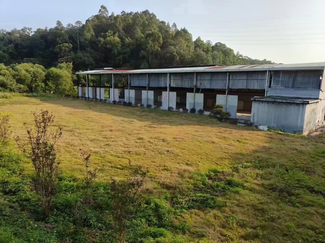 番禺石壁原房东一手红本土地，可分租，可定建，手续齐全2