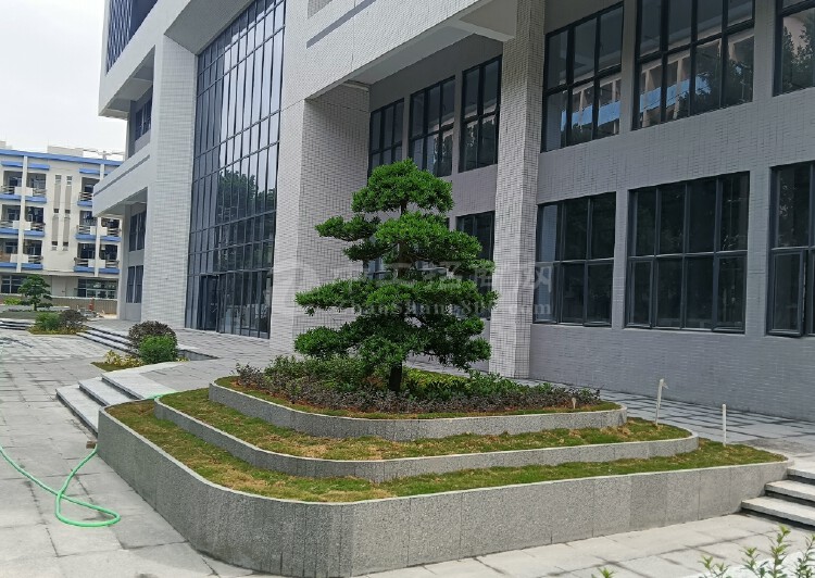 中山市火炬开发区全新工业办公大楼29844平米3