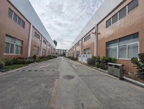 惠城区三栋新出单一层钢构厂房出售面积15000平米